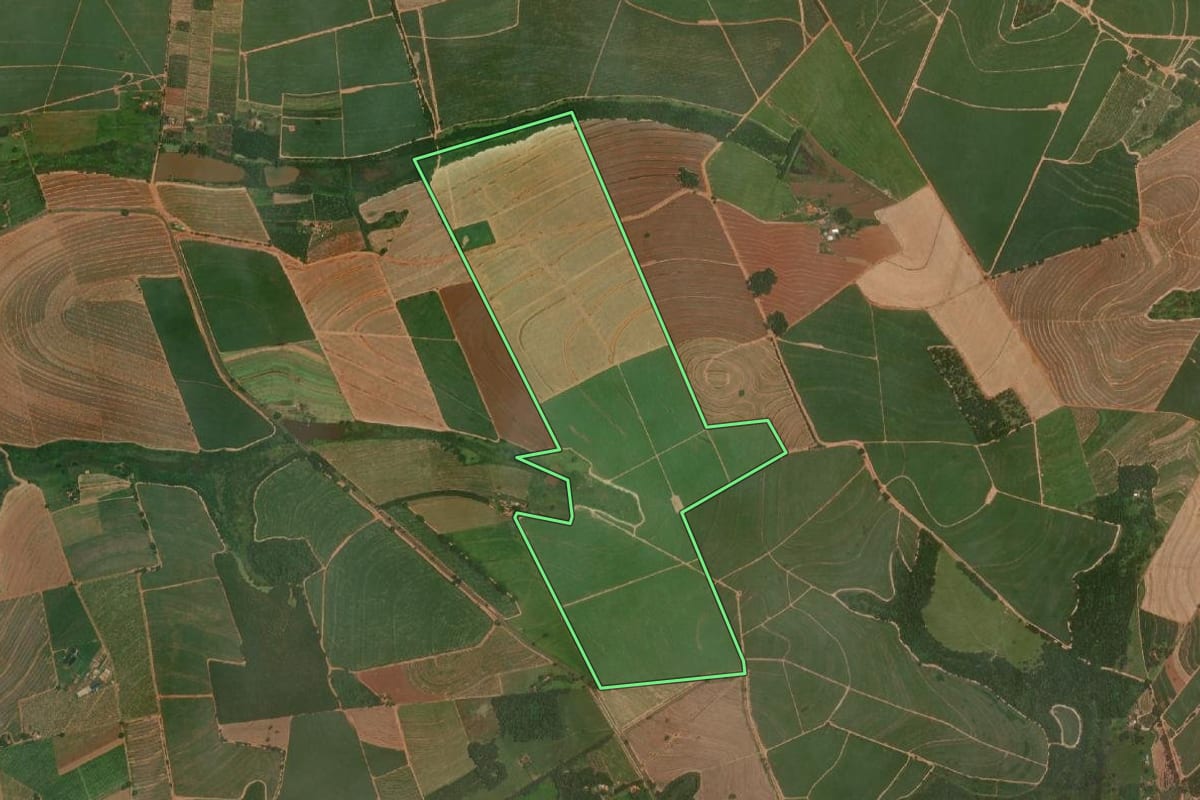 Imagem de satélite do imóvel rural em Marapoama (SP), com o contorno declarado no CAR desenhado por cima.