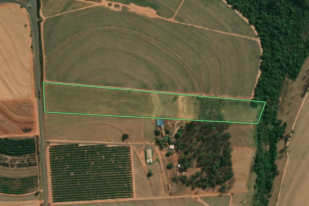 Imagem de satélite do imóvel rural em Marapoama (SP), com o contorno declarado no CAR desenhado por cima.