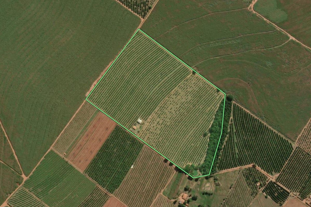 Imagem de satélite do imóvel rural em Marapoama (SP), com o contorno declarado no CAR desenhado por cima.