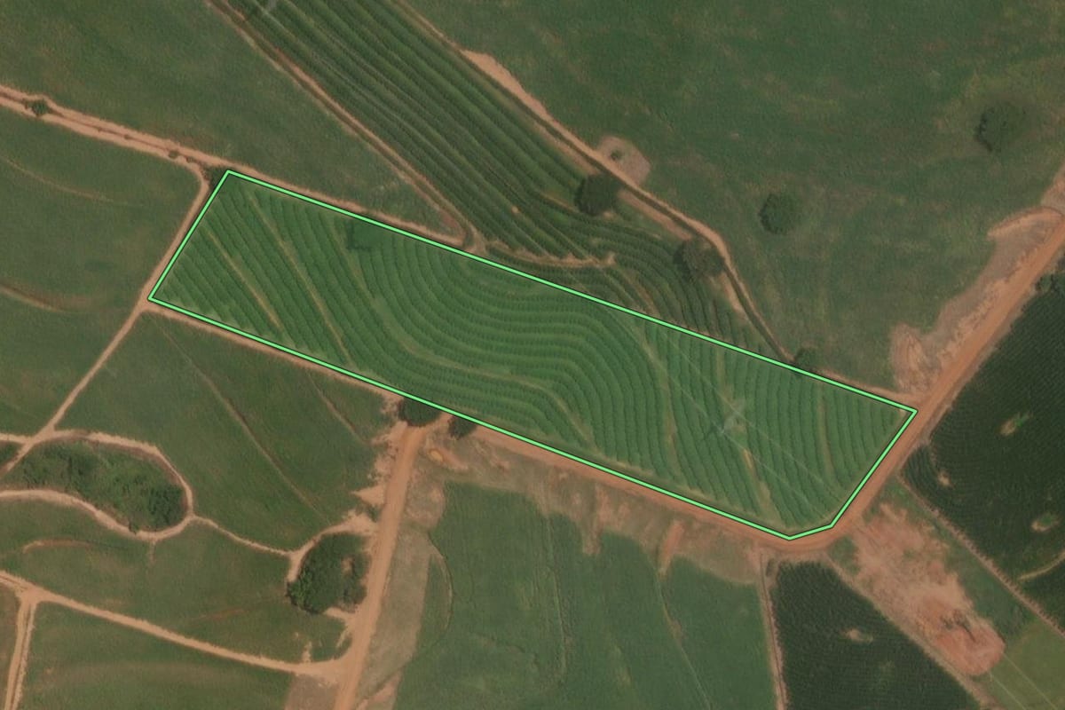Imagem de satélite do imóvel rural em Marapoama (SP), com o contorno declarado no CAR desenhado por cima.