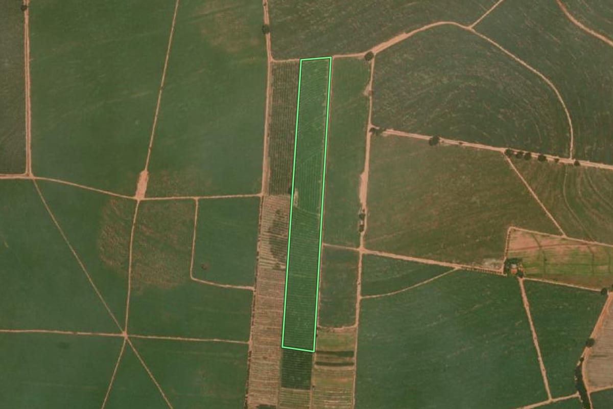 Imagem de satélite do imóvel rural em Marapoama (SP), com o contorno declarado no CAR desenhado por cima.