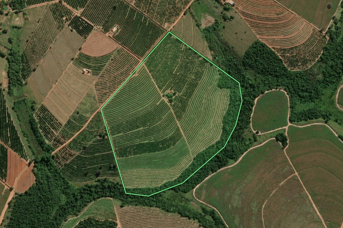 Imagem de satélite do imóvel rural em Marapoama (SP), com o contorno declarado no CAR desenhado por cima.