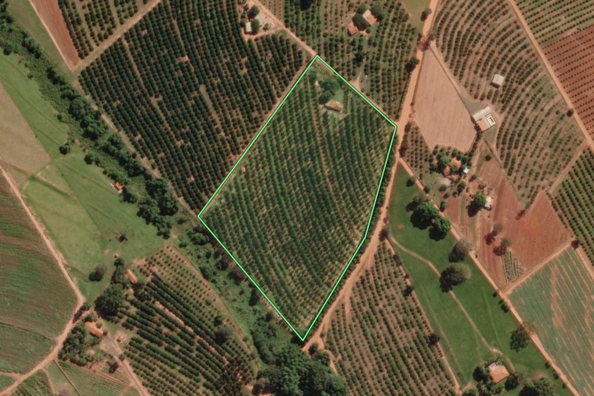 Imagem de satélite do imóvel rural em Marapoama (SP), com o contorno declarado no CAR desenhado por cima.
