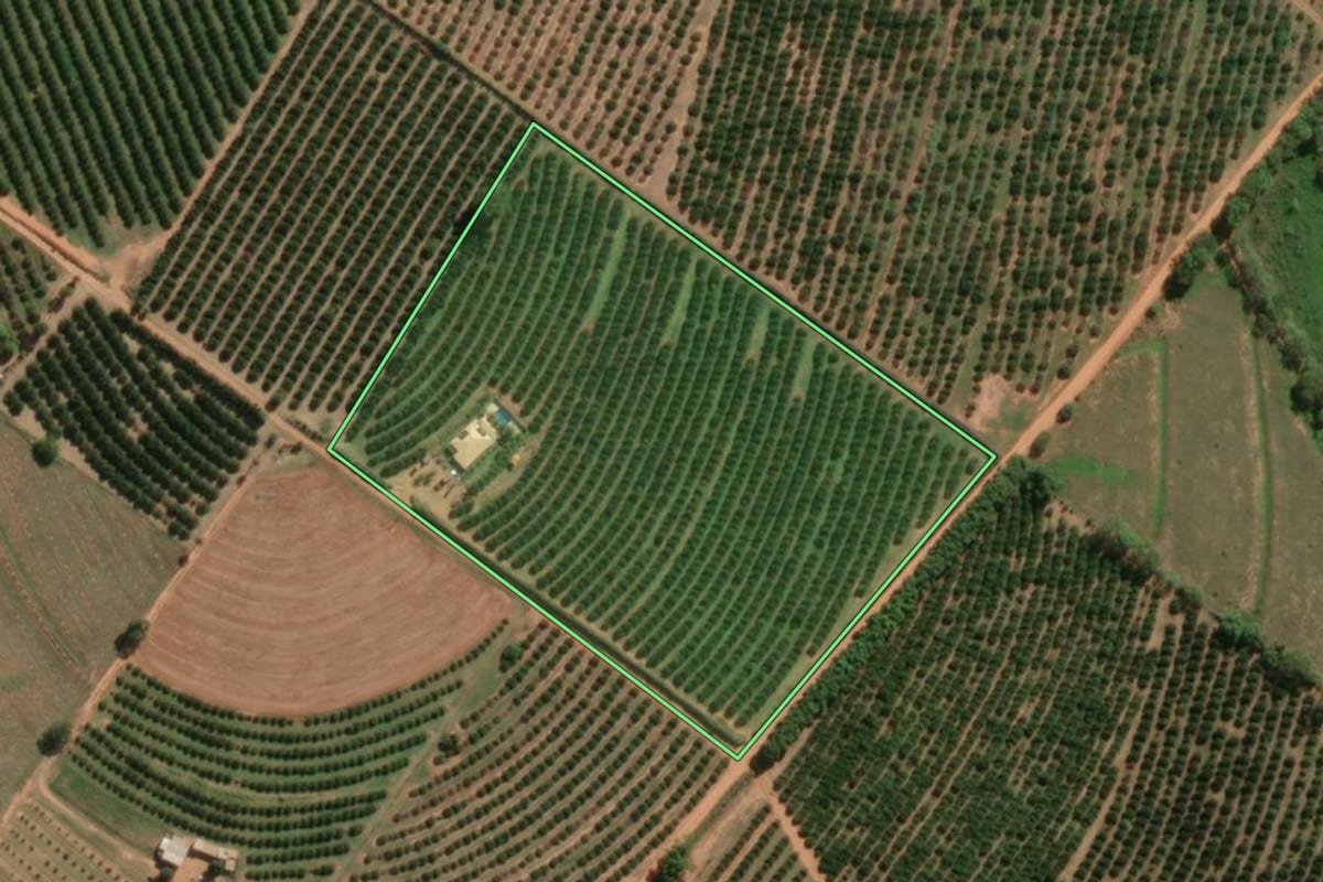 Imagem de satélite do imóvel rural em Marapoama (SP), com o contorno declarado no CAR desenhado por cima.