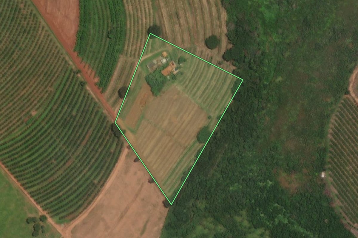 Imagem de satélite do imóvel rural em Marapoama (SP), com o contorno declarado no CAR desenhado por cima.