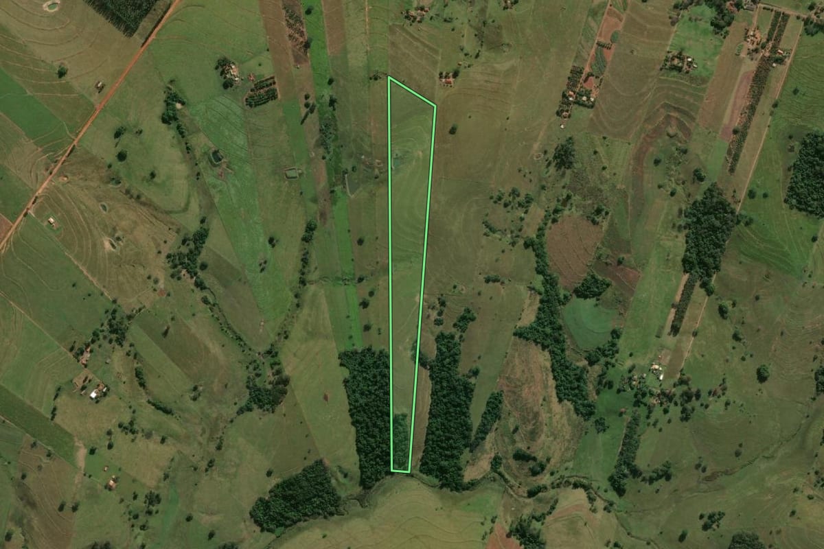 Imagem de satélite do imóvel rural em Mariápolis (SP), com o contorno declarado no CAR desenhado por cima.