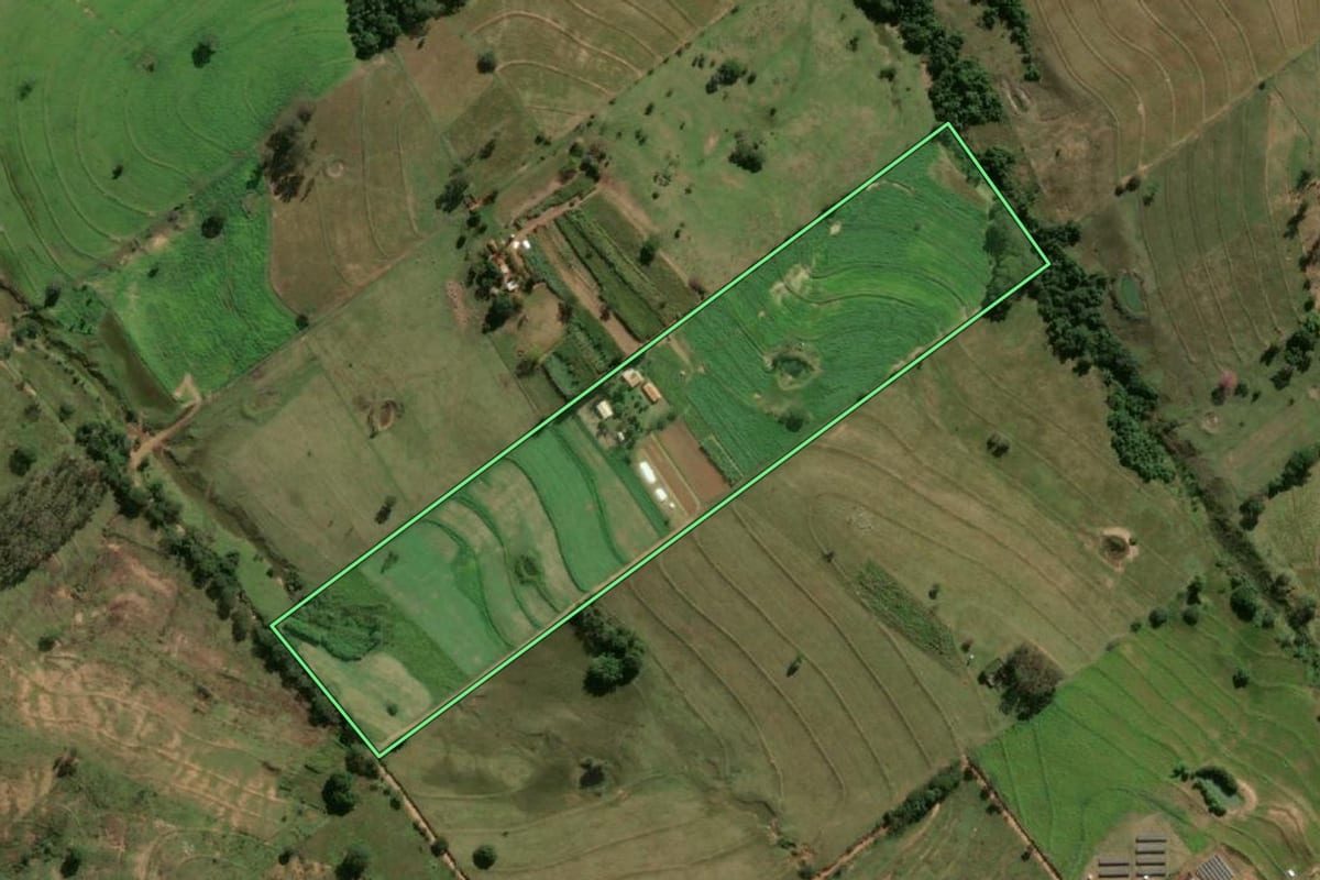 Imagem de satélite do imóvel rural em Mariápolis (SP), com o contorno declarado no CAR desenhado por cima.