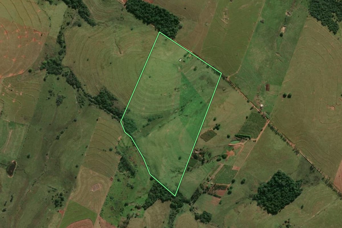 Imagem de satélite do imóvel rural em Mariápolis (SP), com o contorno declarado no CAR desenhado por cima.