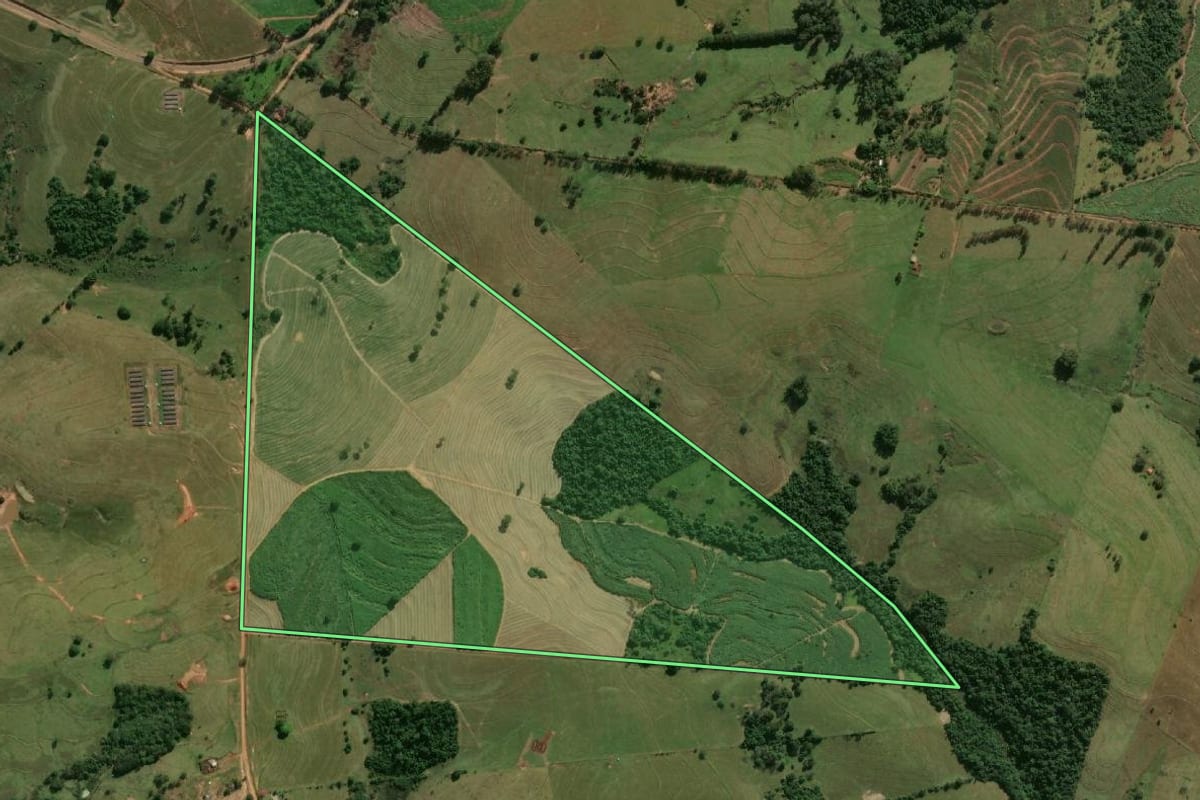 Imagem de satélite do imóvel rural em Mariápolis (SP), com o contorno declarado no CAR desenhado por cima.
