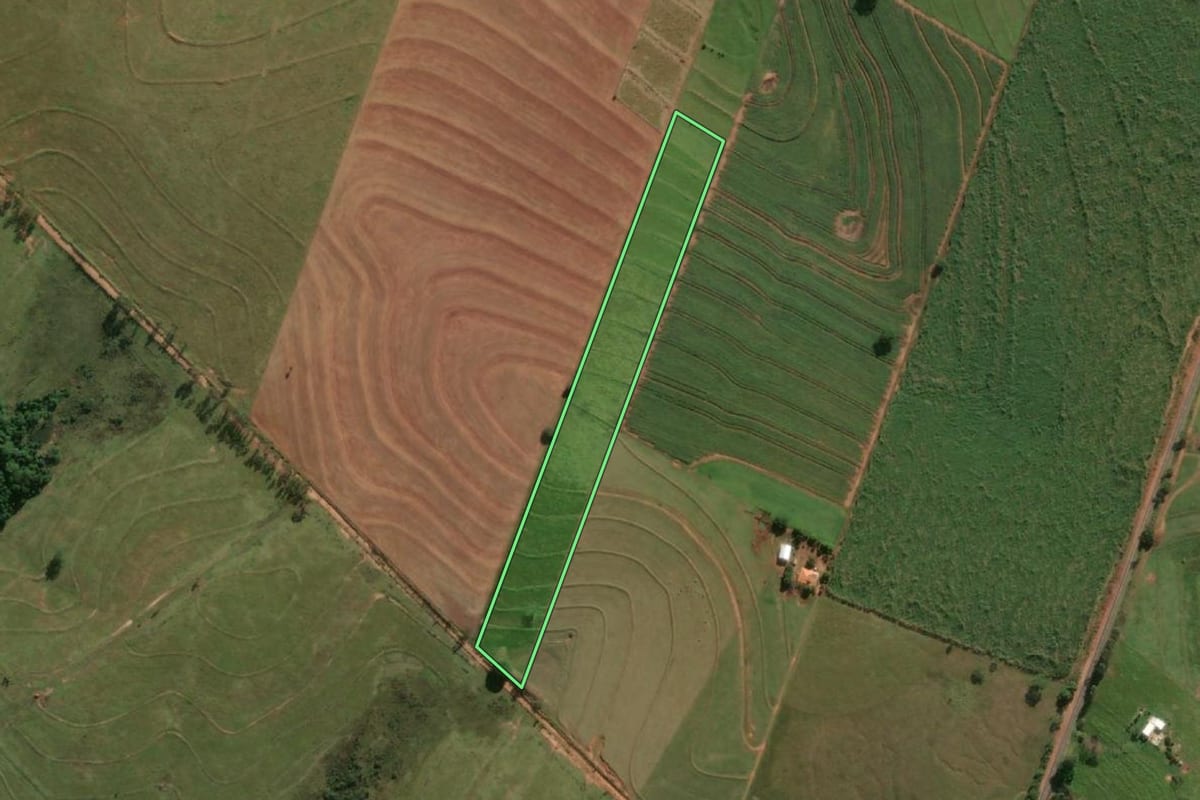 Imagem de satélite do imóvel rural em Mariápolis (SP), com o contorno declarado no CAR desenhado por cima.
