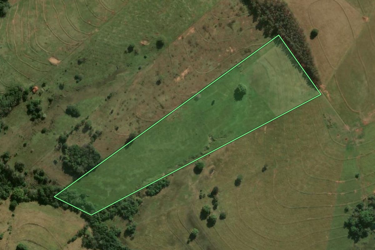 Imagem de satélite do imóvel rural em Mariápolis (SP), com o contorno declarado no CAR desenhado por cima.