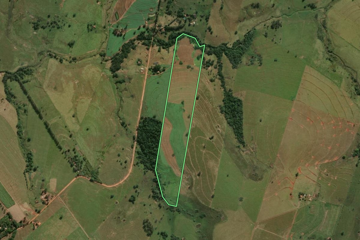 Imagem de satélite do imóvel rural em Mariápolis (SP), com o contorno declarado no CAR desenhado por cima.