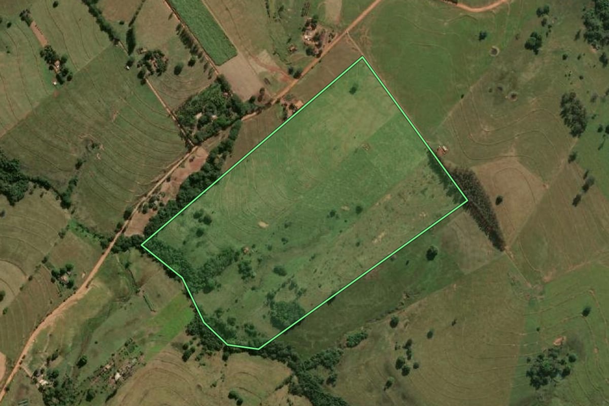 Imagem de satélite do imóvel rural em Mariápolis (SP), com o contorno declarado no CAR desenhado por cima.