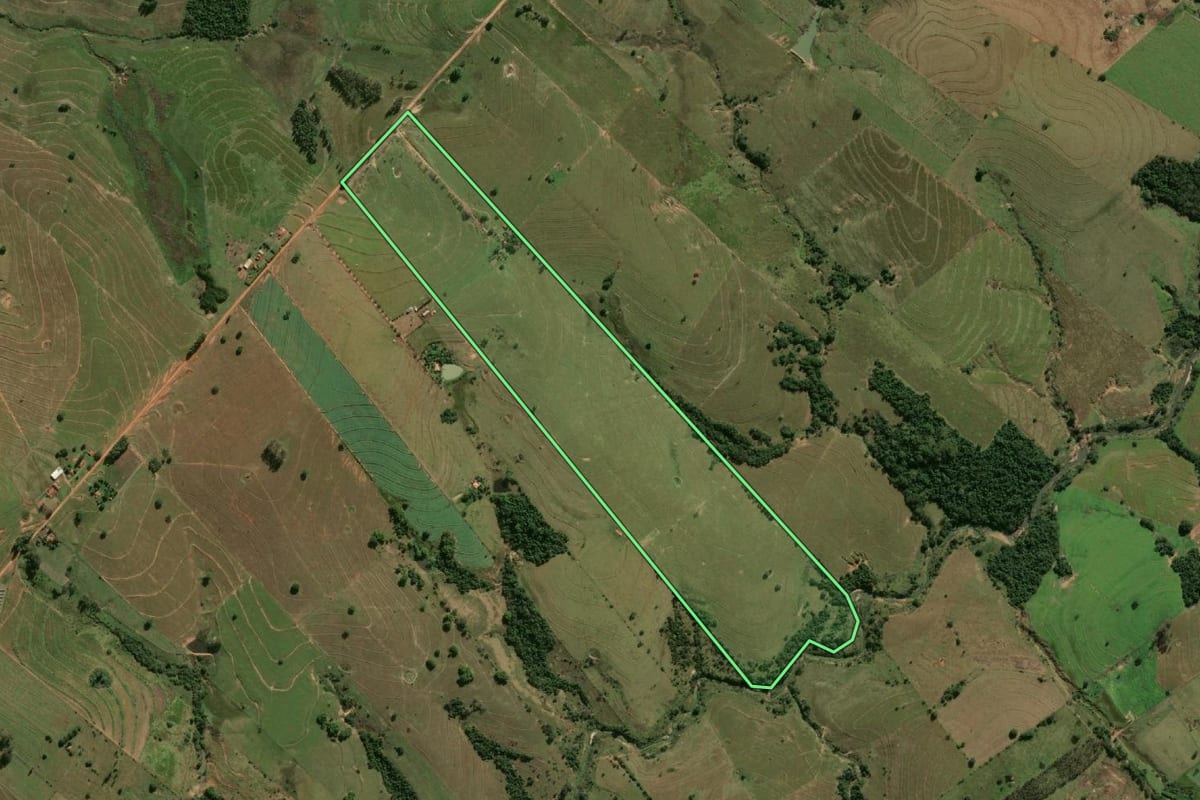 Imagem de satélite do imóvel rural em Mariápolis (SP), com o contorno declarado no CAR desenhado por cima.