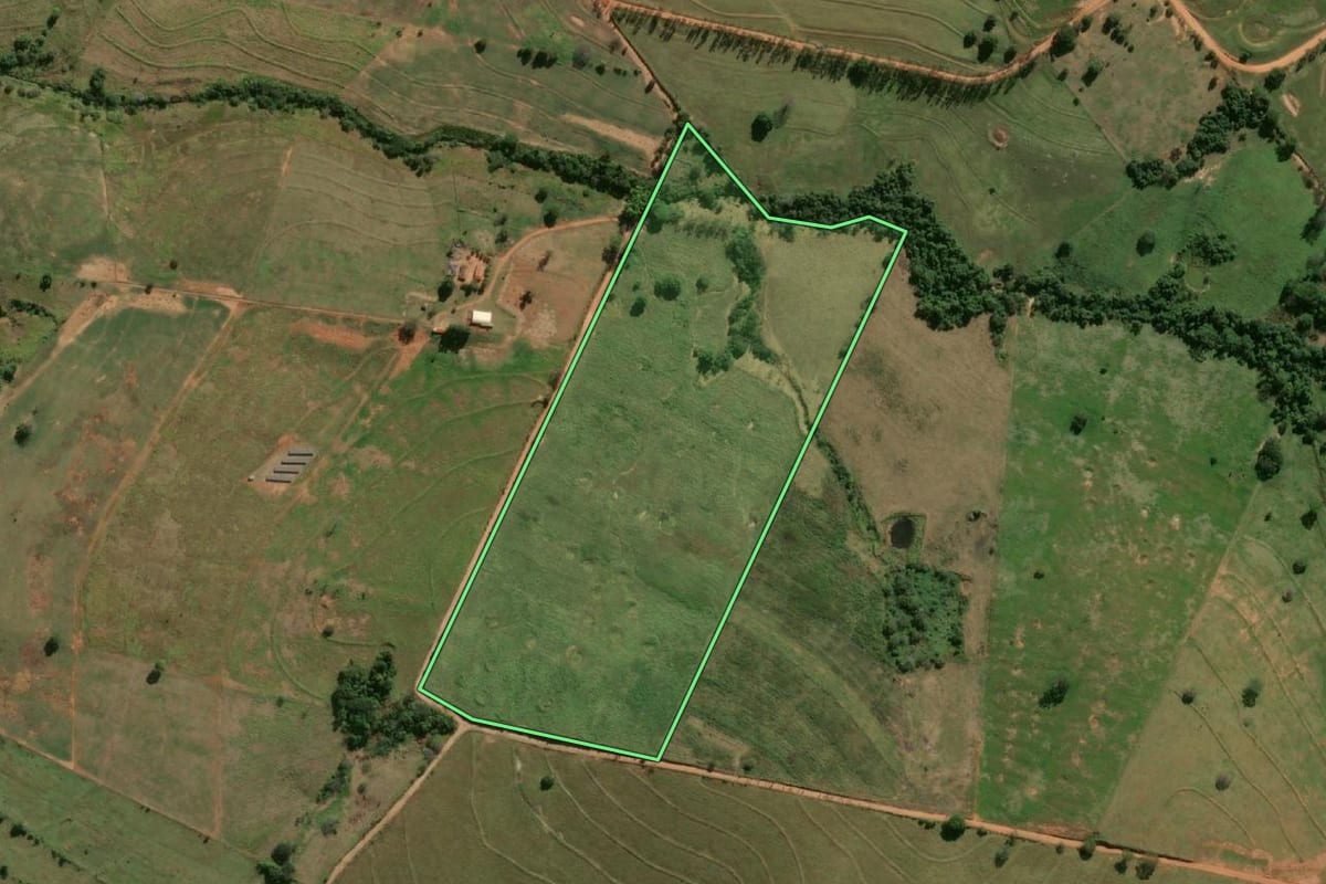 Imagem de satélite do imóvel rural em Mariápolis (SP), com o contorno declarado no CAR desenhado por cima.
