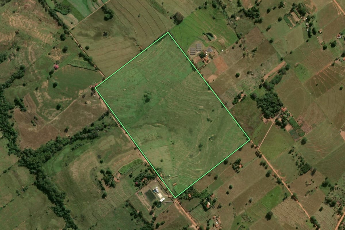 Imagem de satélite do imóvel rural em Mariápolis (SP), com o contorno declarado no CAR desenhado por cima.