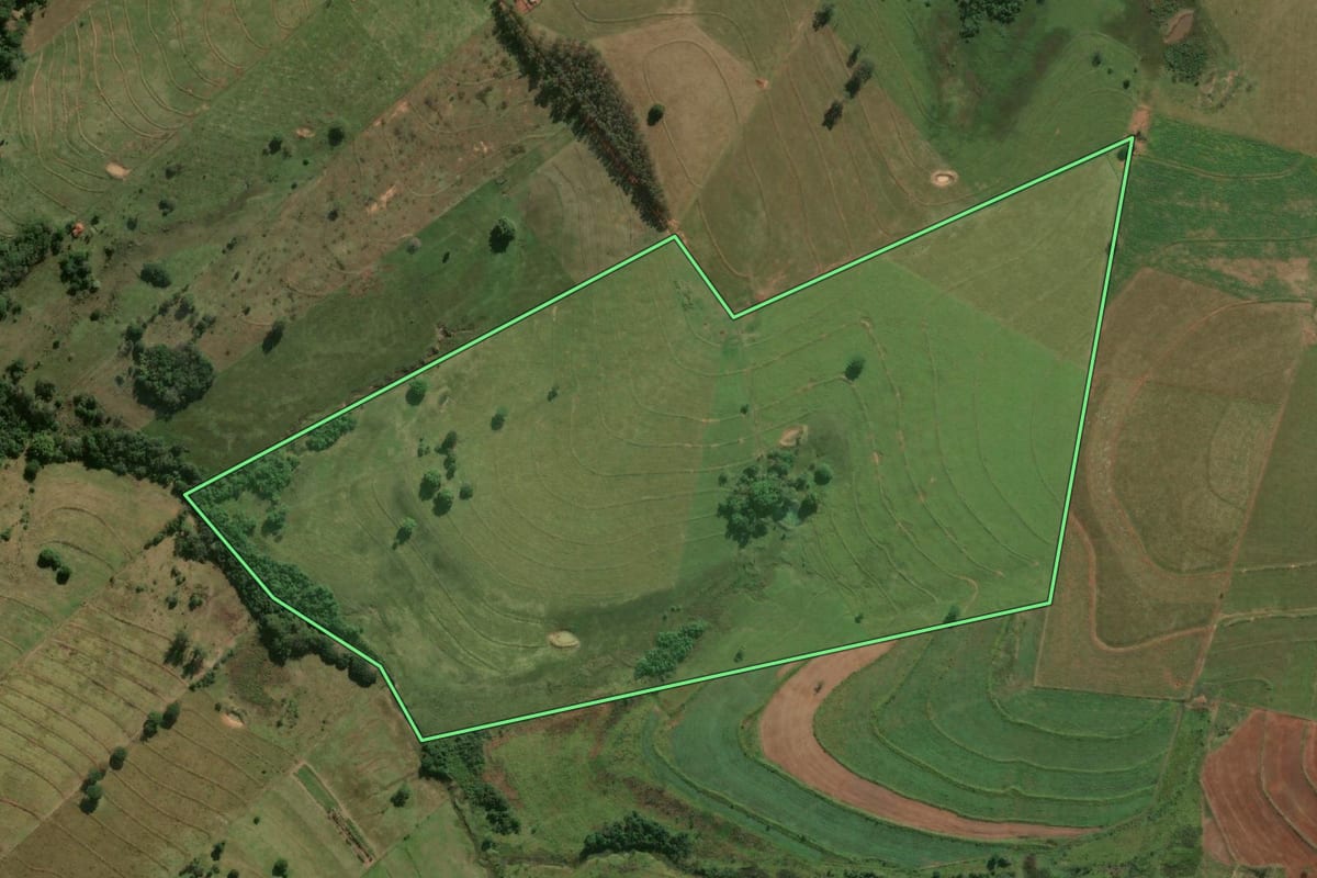 Imagem de satélite do imóvel rural em Mariápolis (SP), com o contorno declarado no CAR desenhado por cima.
