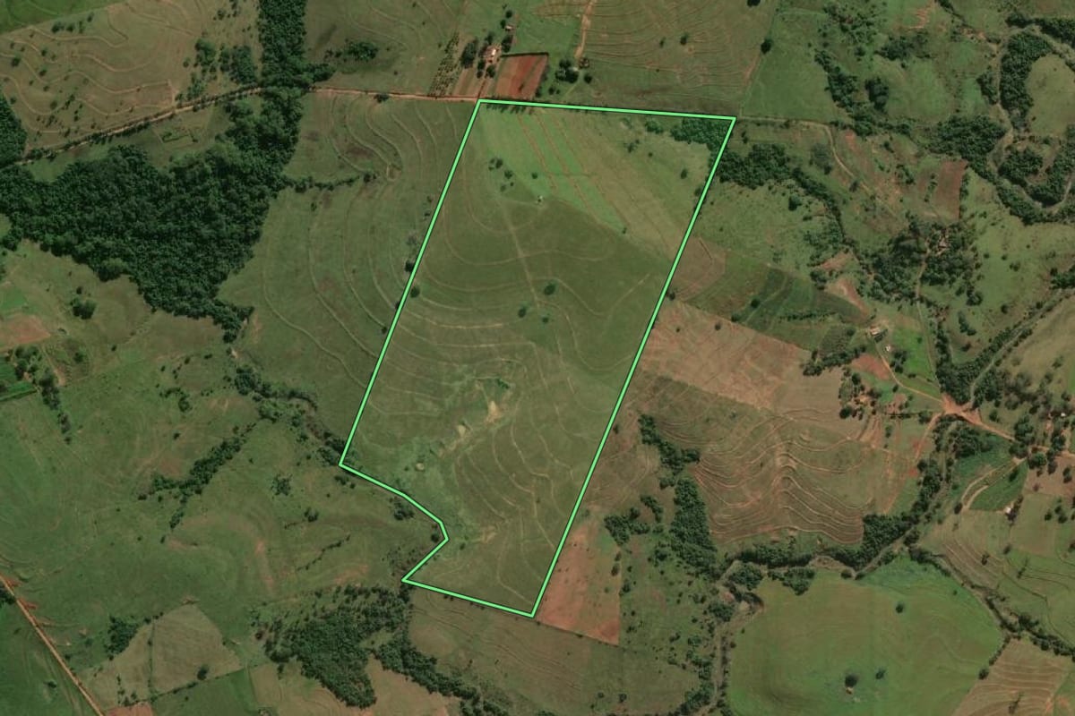 Imagem de satélite do imóvel rural em Mariápolis (SP), com o contorno declarado no CAR desenhado por cima.