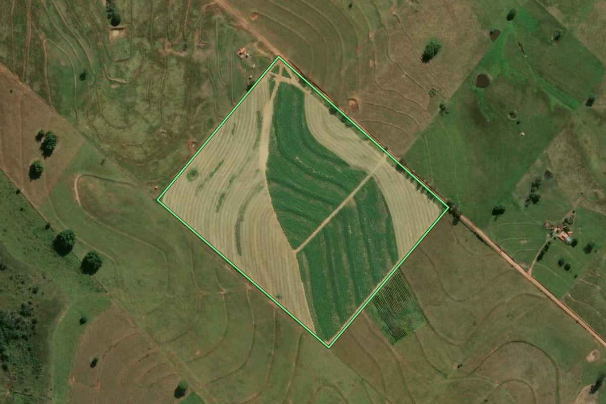 Imagem de satélite do imóvel rural em Mariápolis (SP), com o contorno declarado no CAR desenhado por cima.