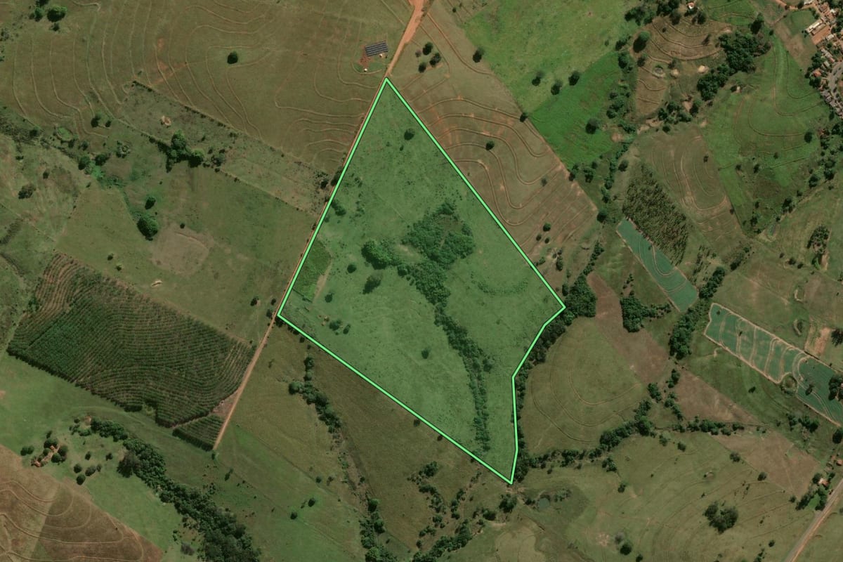Imagem de satélite do imóvel rural em Mariápolis (SP), com o contorno declarado no CAR desenhado por cima.