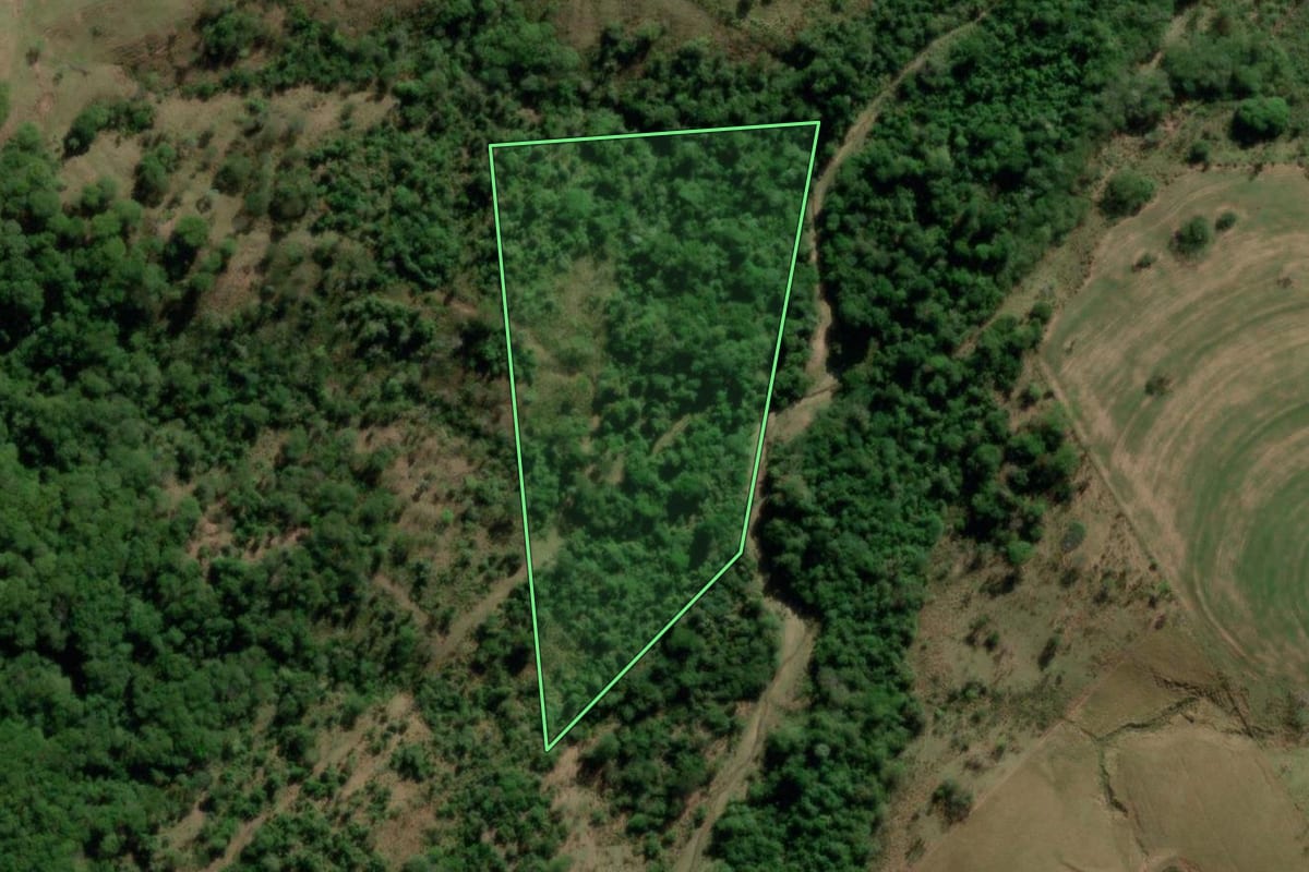 Imagem de satélite do imóvel rural em Marília (SP), com o contorno declarado no CAR desenhado por cima.