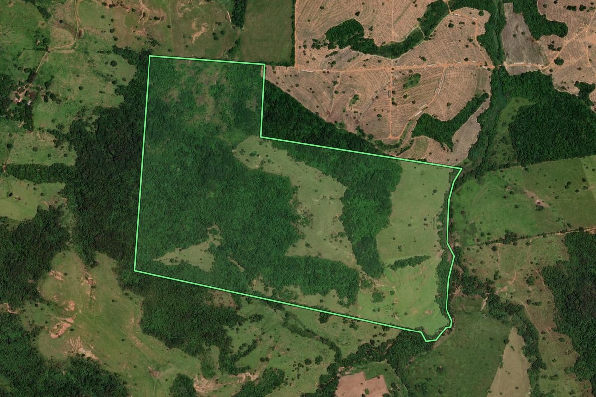 Imagem de satélite do imóvel rural em Marília (SP), com o contorno declarado no CAR desenhado por cima.