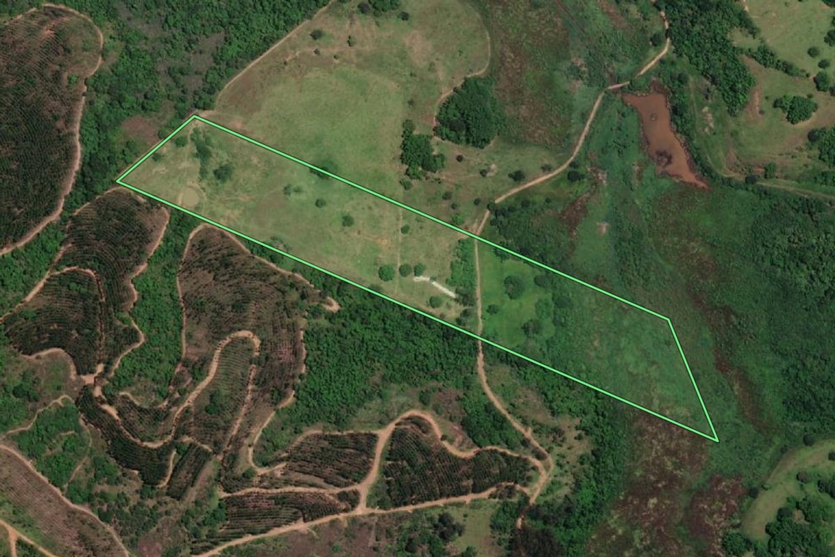 Imagem de satélite do imóvel rural em Marília (SP), com o contorno declarado no CAR desenhado por cima.