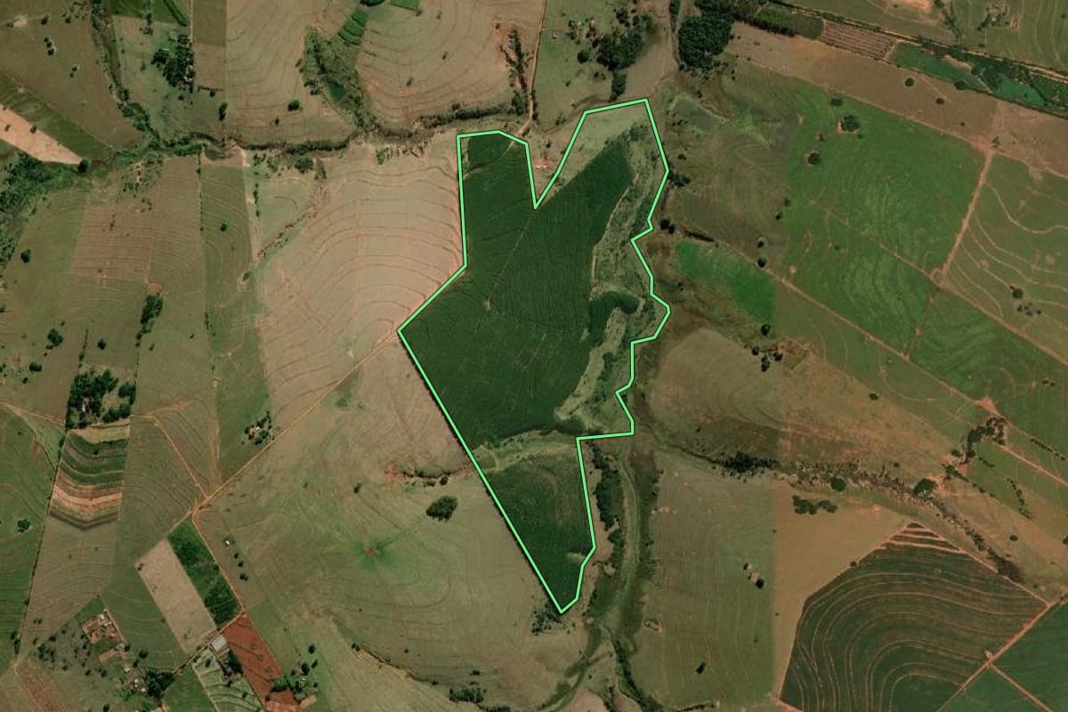 Imagem de satélite do imóvel rural em Marília (SP), com o contorno declarado no CAR desenhado por cima.
