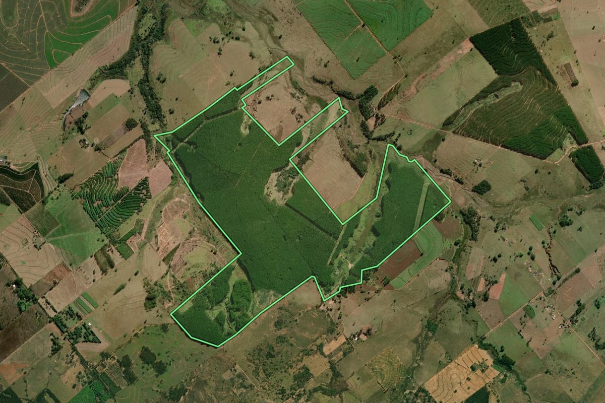 Imagem de satélite do imóvel rural em Marília (SP), com o contorno declarado no CAR desenhado por cima.
