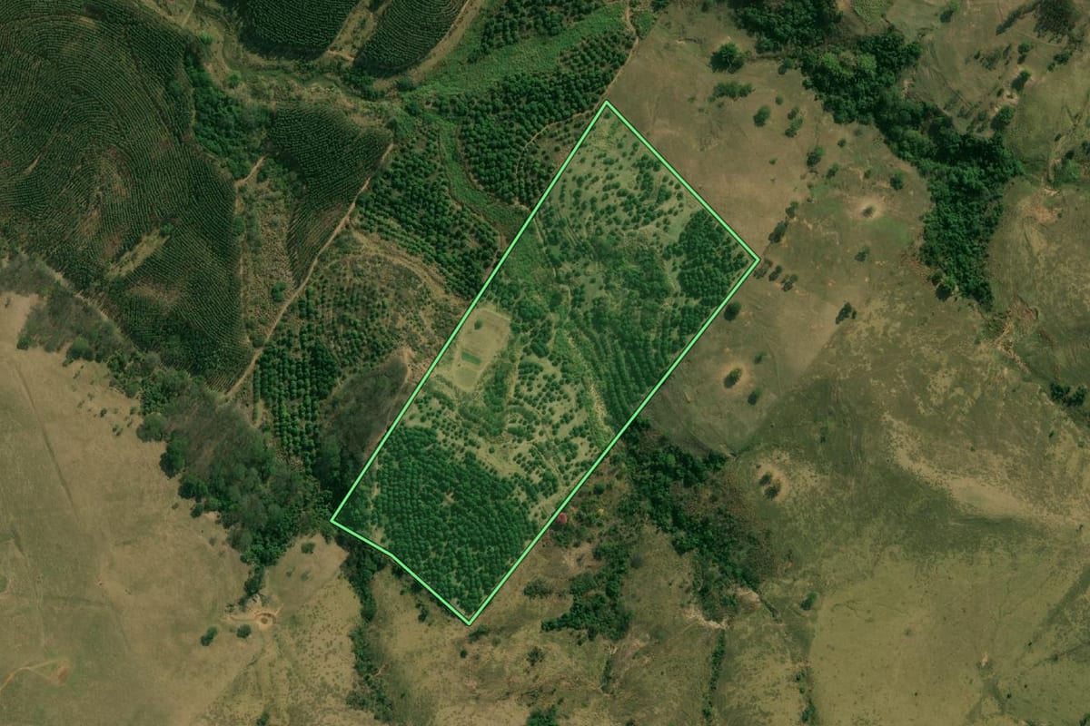 Imagem de satélite do imóvel rural em Marília (SP), com o contorno declarado no CAR desenhado por cima.