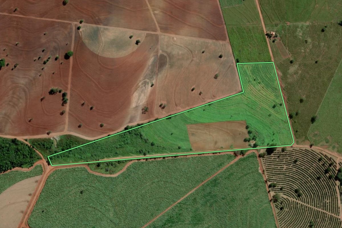 Imagem de satélite do imóvel rural em Marinópolis (SP), com o contorno declarado no CAR desenhado por cima.