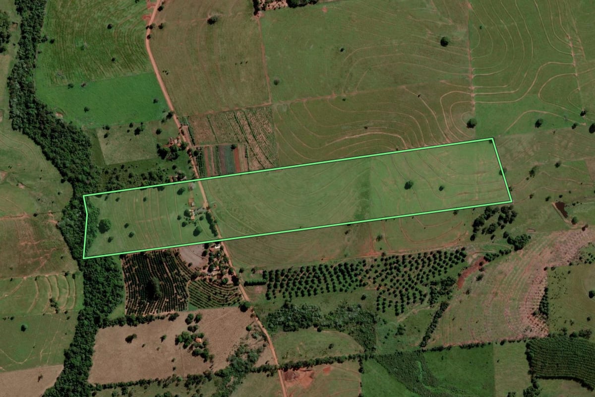 Imagem de satélite do imóvel rural em Marinópolis (SP), com o contorno declarado no CAR desenhado por cima.