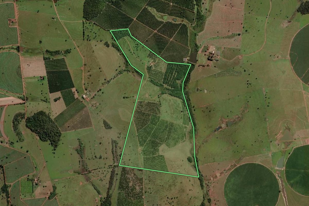 Imagem de satélite do imóvel rural em Marinópolis (SP), com o contorno declarado no CAR desenhado por cima.