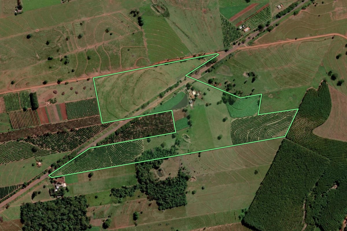 Imagem de satélite do imóvel rural em Marinópolis (SP), com o contorno declarado no CAR desenhado por cima.