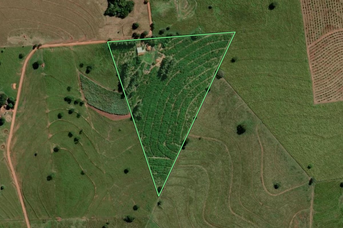 Imagem de satélite do imóvel rural em Marinópolis (SP), com o contorno declarado no CAR desenhado por cima.