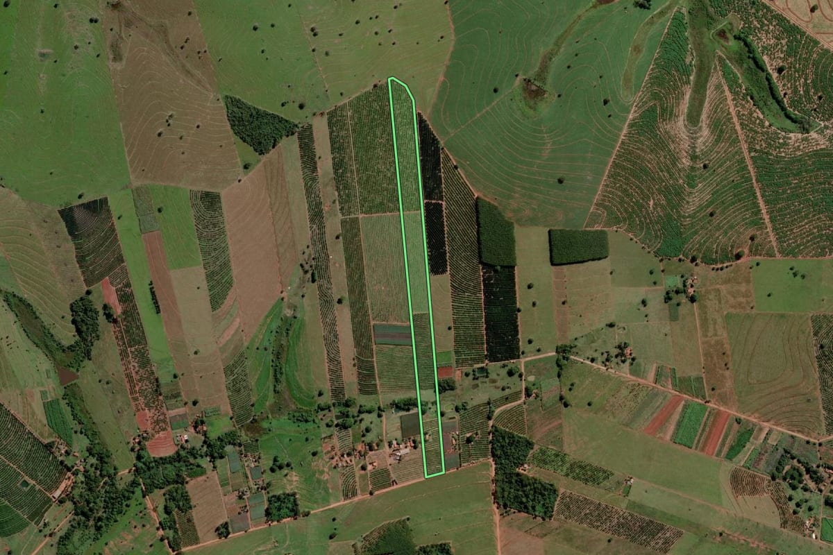 Imagem de satélite do imóvel rural em Marinópolis (SP), com o contorno declarado no CAR desenhado por cima.