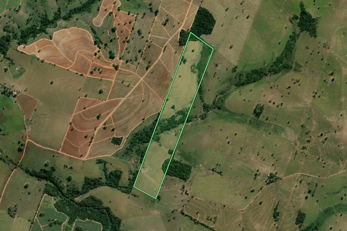 Imagem de satélite do imóvel rural em Martinópolis (SP), com o contorno declarado no CAR desenhado por cima.