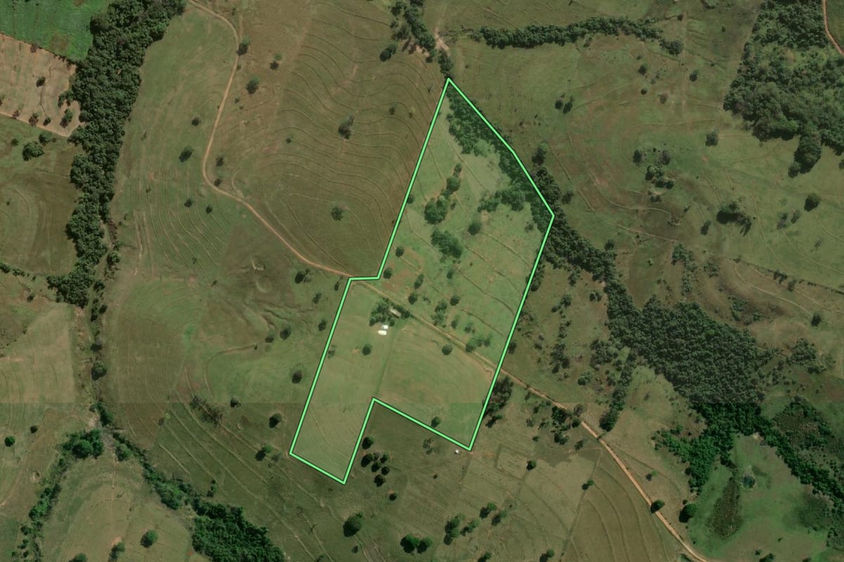 Imagem de satélite do imóvel rural em Martinópolis (SP), com o contorno declarado no CAR desenhado por cima.