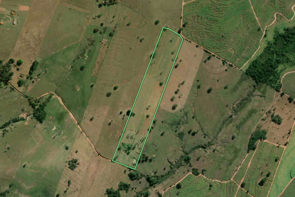 Imagem de satélite do imóvel rural em Martinópolis (SP), com o contorno declarado no CAR desenhado por cima.