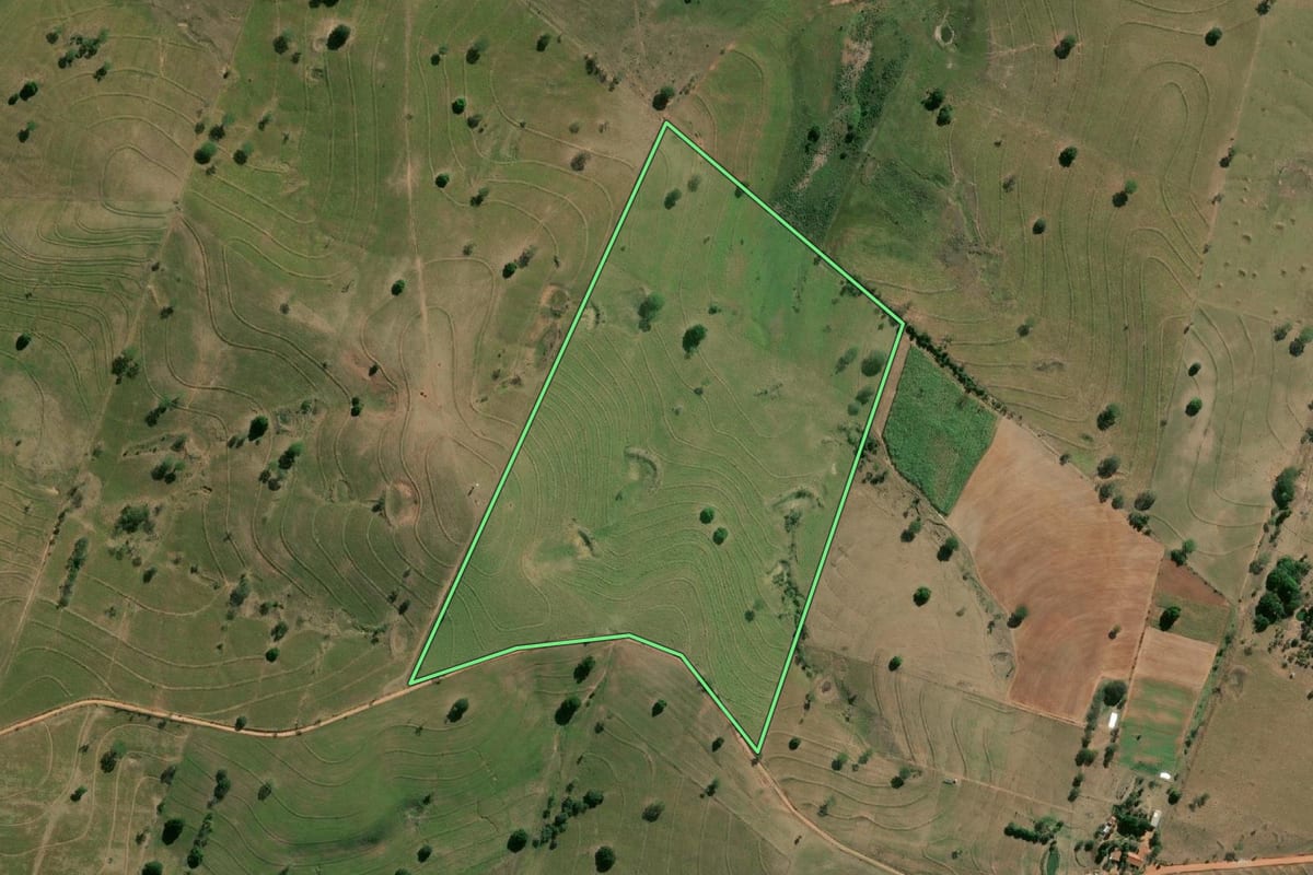 Imagem de satélite do imóvel rural em Martinópolis (SP), com o contorno declarado no CAR desenhado por cima.