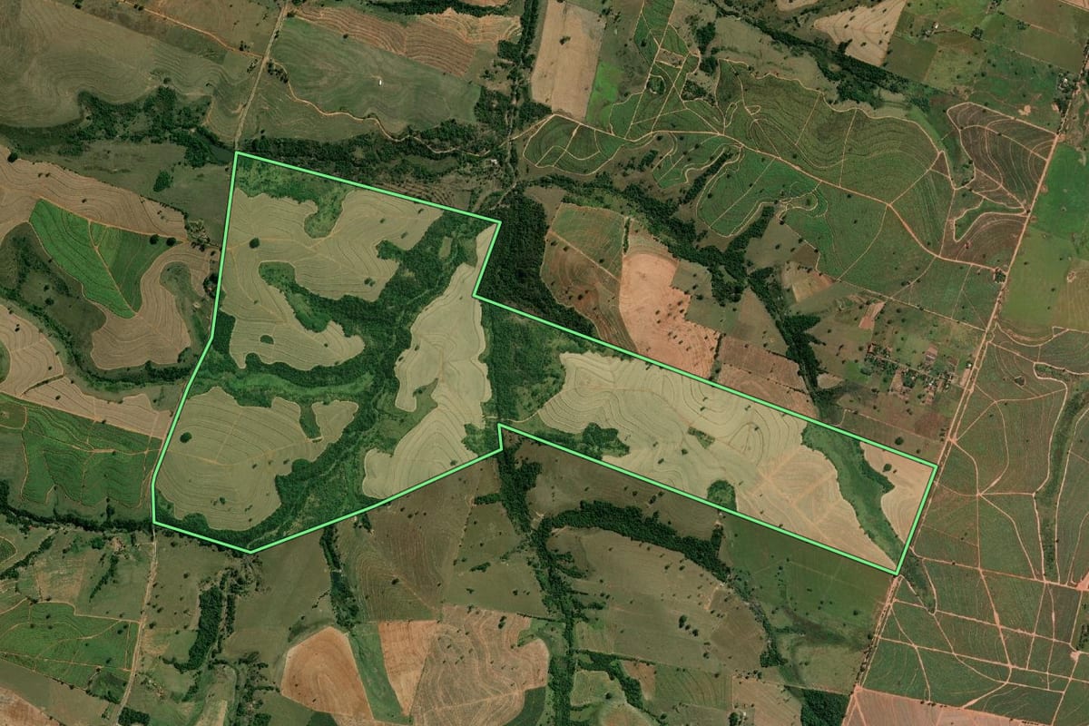 Imagem de satélite do imóvel rural em Martinópolis (SP), com o contorno declarado no CAR desenhado por cima.