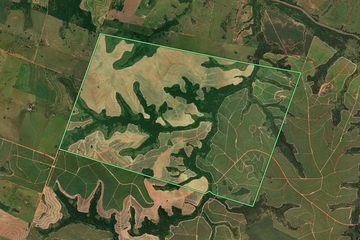 Imagem de satélite do imóvel rural em Martinópolis (SP), com o contorno declarado no CAR desenhado por cima.
