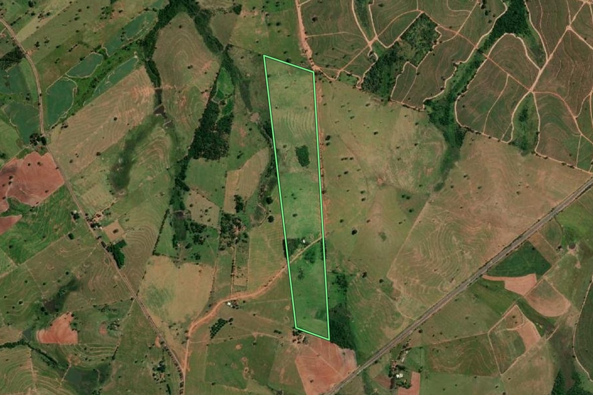 Imagem de satélite do imóvel rural em Martinópolis (SP), com o contorno declarado no CAR desenhado por cima.