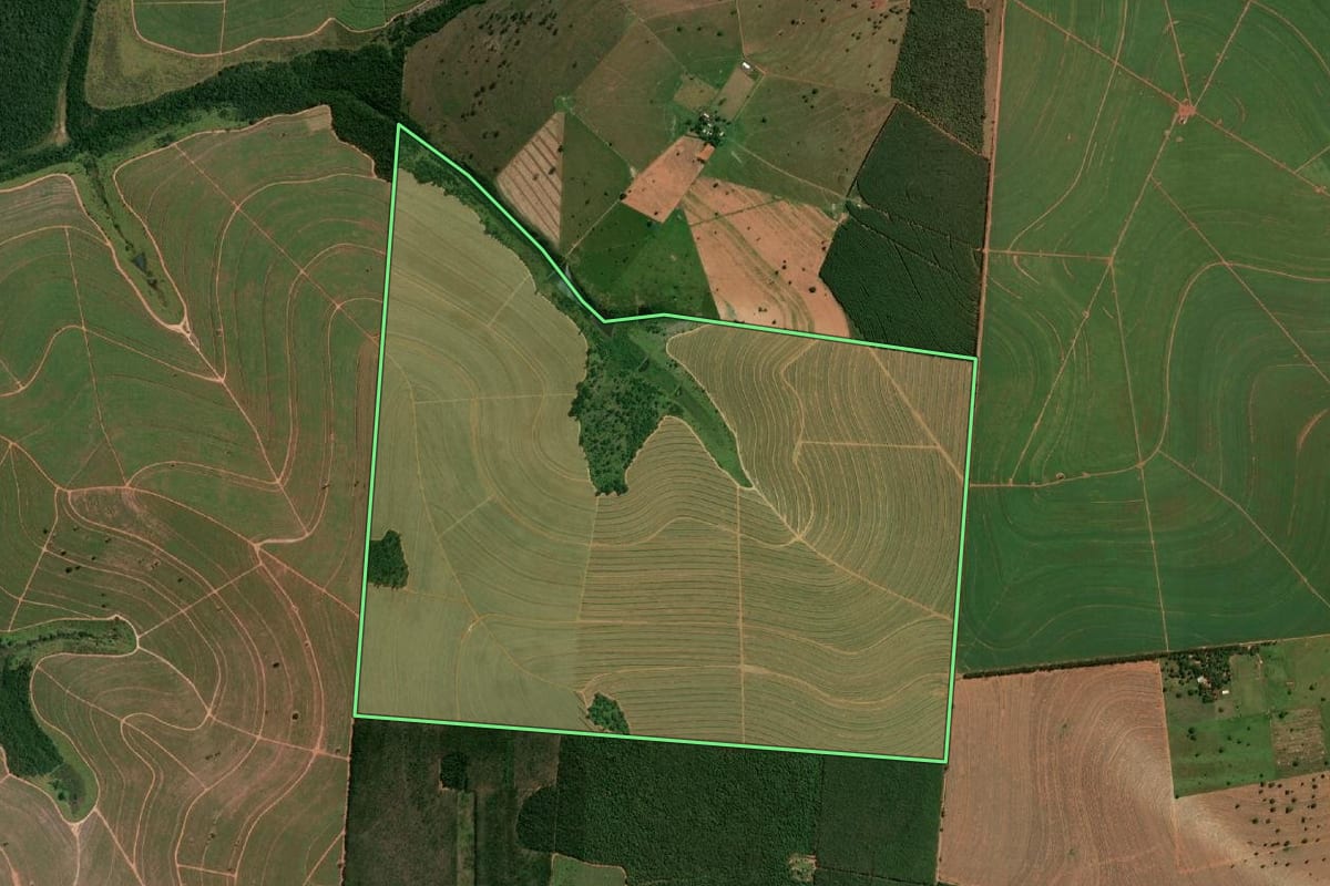 Imagem de satélite do imóvel rural em Martinópolis (SP), com o contorno declarado no CAR desenhado por cima.