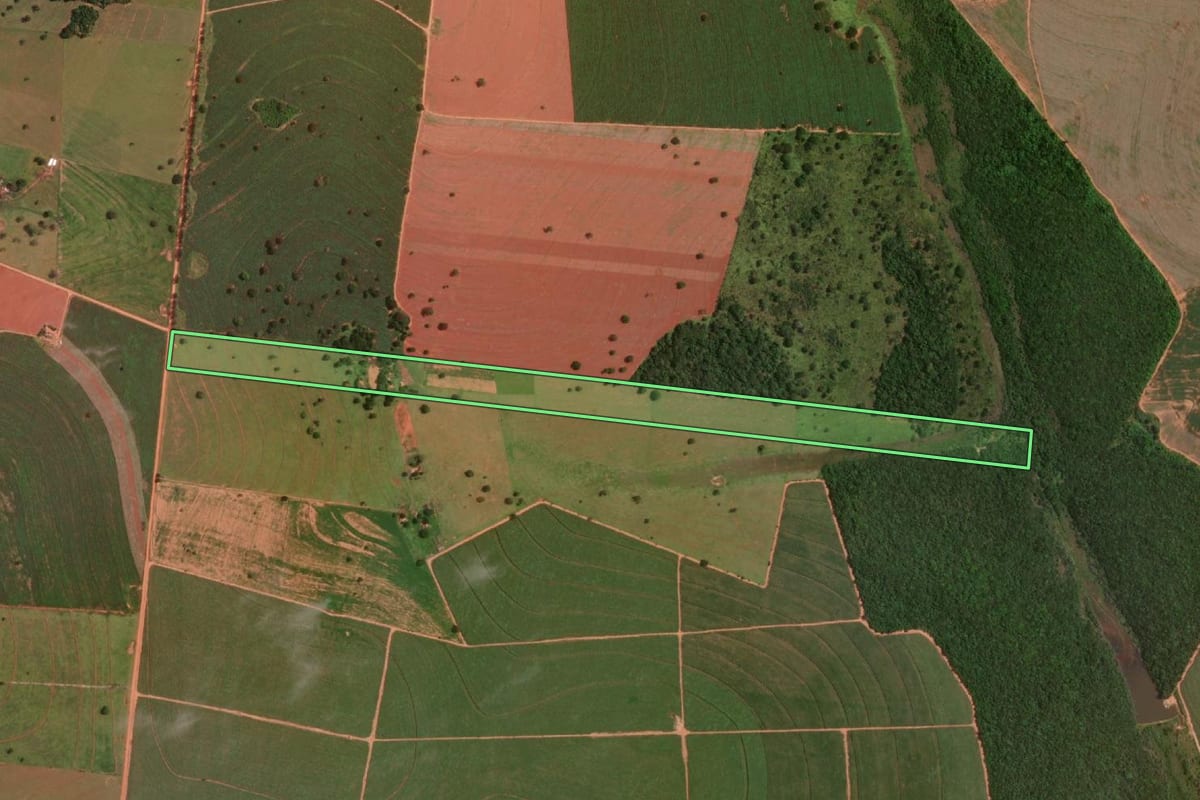 Imagem de satélite do imóvel rural em Martinópolis (SP), com o contorno declarado no CAR desenhado por cima.