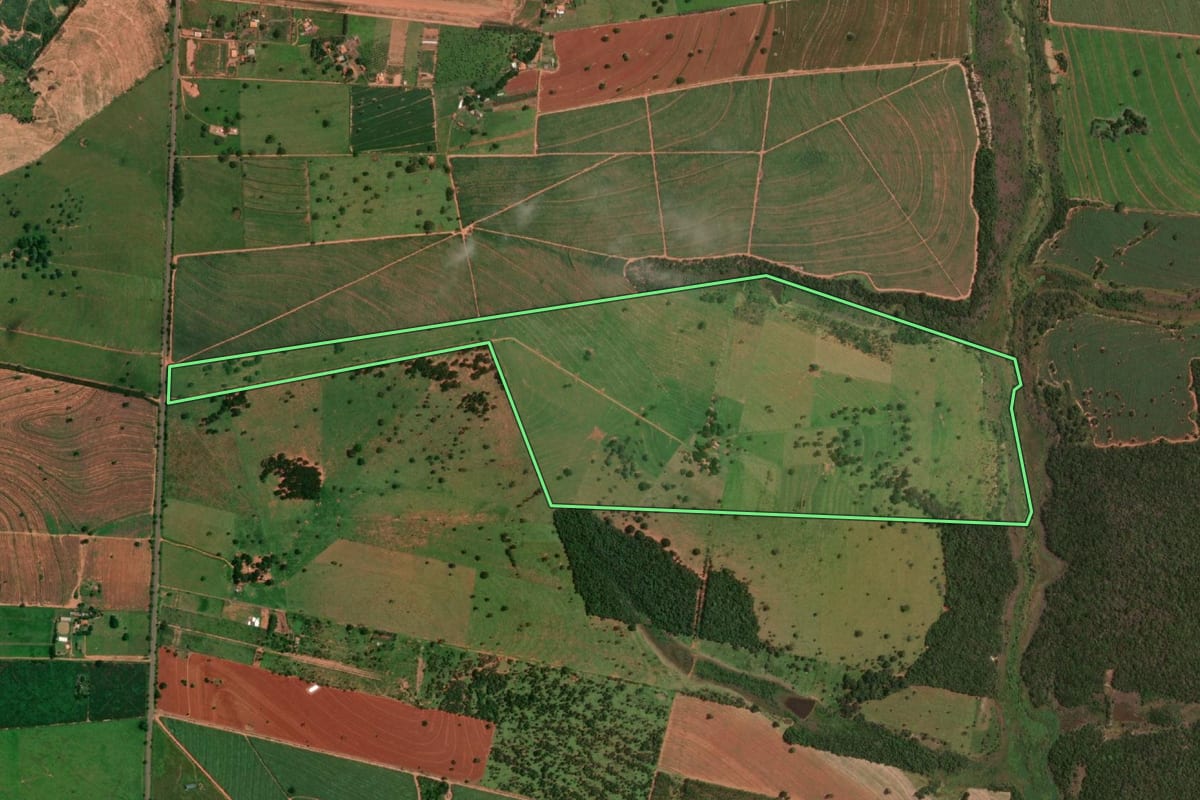 Imagem de satélite do imóvel rural em Martinópolis (SP), com o contorno declarado no CAR desenhado por cima.