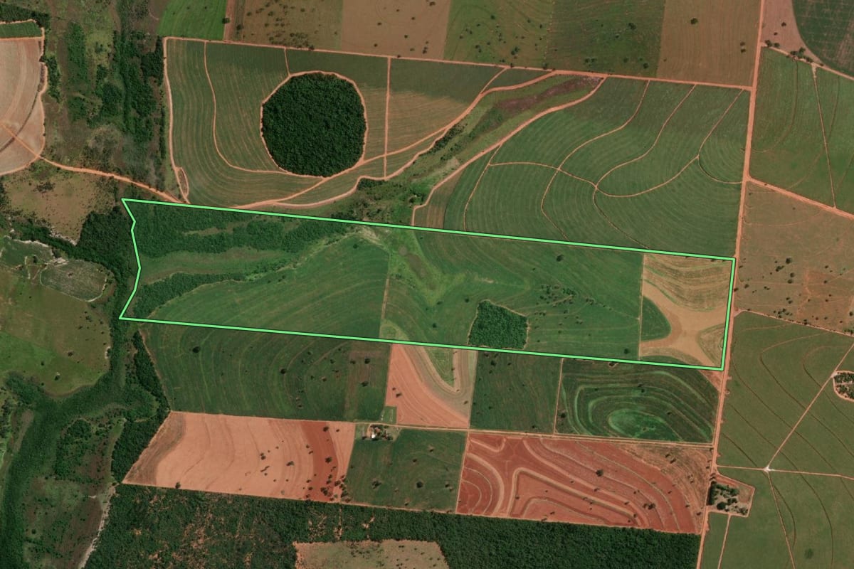 Imagem de satélite do imóvel rural em Martinópolis (SP), com o contorno declarado no CAR desenhado por cima.