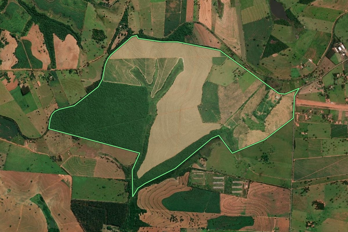 Imagem de satélite do imóvel rural em Martinópolis (SP), com o contorno declarado no CAR desenhado por cima.