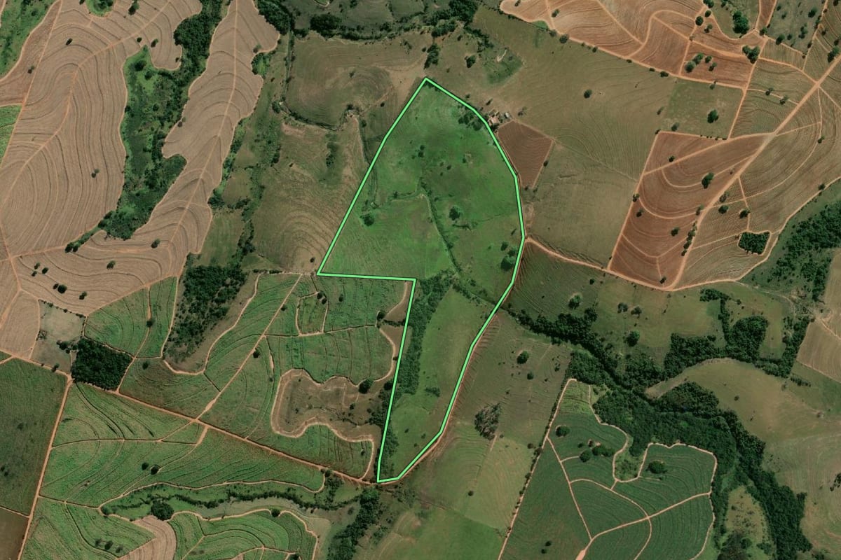 Imagem de satélite do imóvel rural em Martinópolis (SP), com o contorno declarado no CAR desenhado por cima.