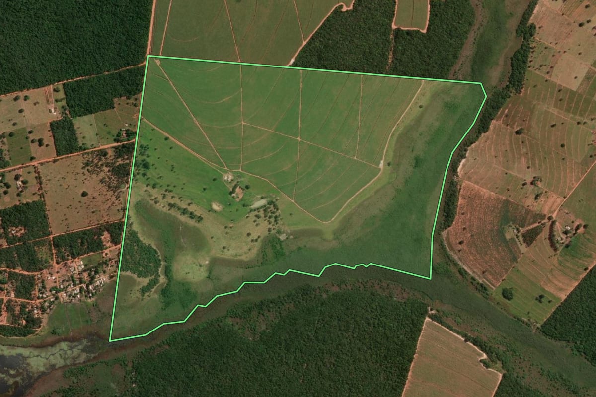 Imagem de satélite do imóvel rural em Martinópolis (SP), com o contorno declarado no CAR desenhado por cima.